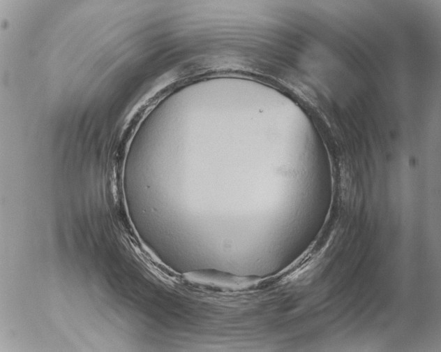 X0000053090782200508012031