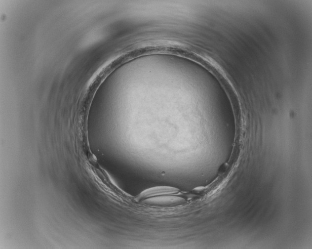 X0000053090783200508012031