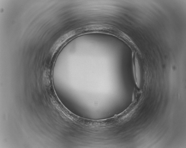 X0000053090786200508012031