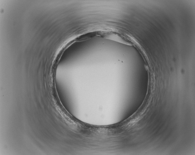 X0000053090787200508012031