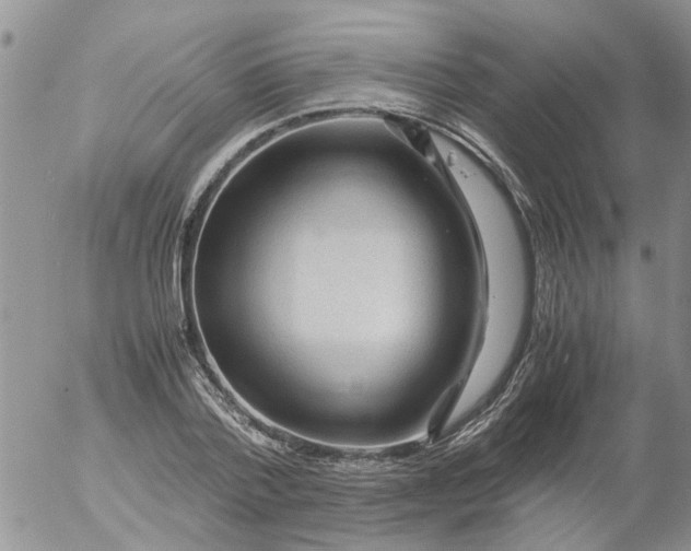 X0000053090788200508012031