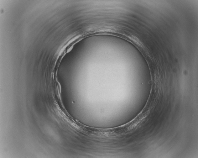 X0000053090790200508012031