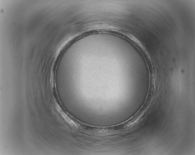 X0000053090791200508012031