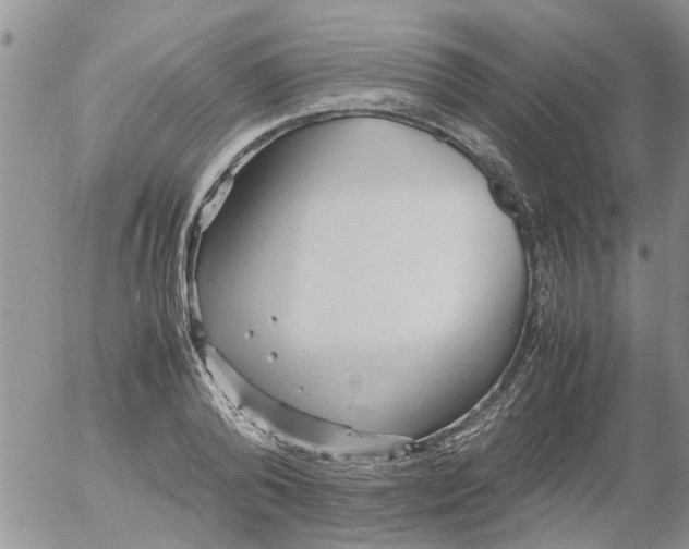 X0000053090792200508012031