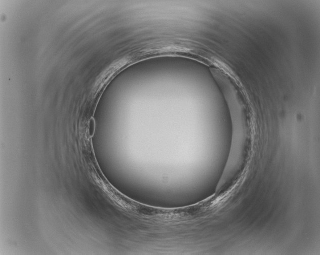 X0000053090793200508012031