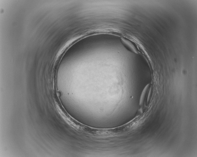 X0000053090795200508012031