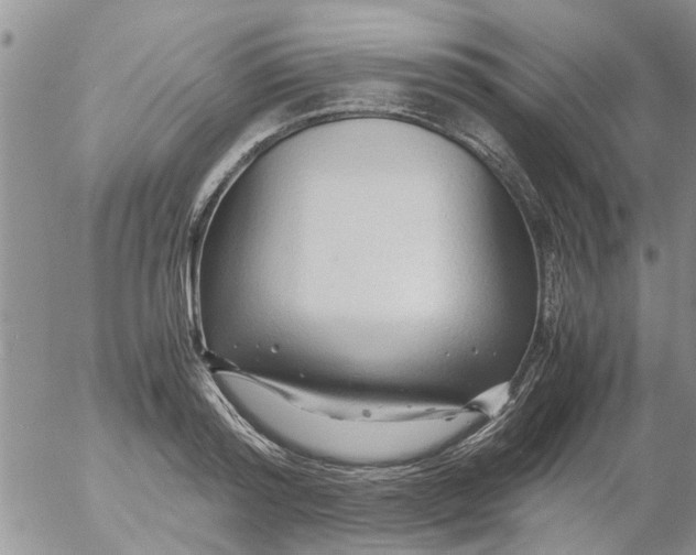 X0000053090796200508012031