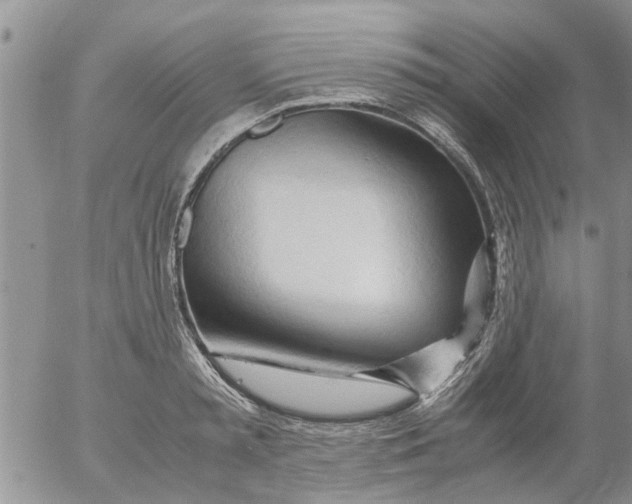 X0000053090797200508012031