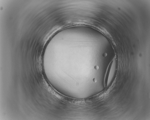 X0000053090798200508012031