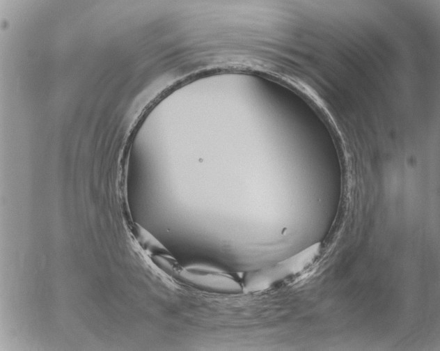 X0000053090799200508012031