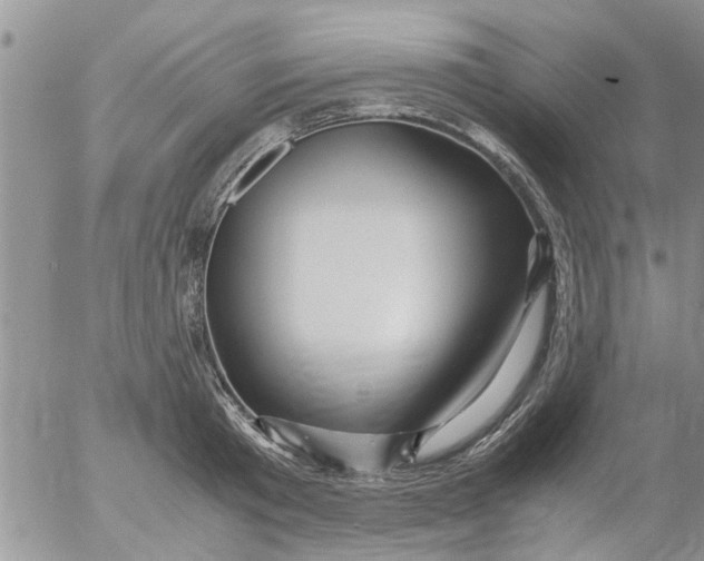 X0000053090801200508012031