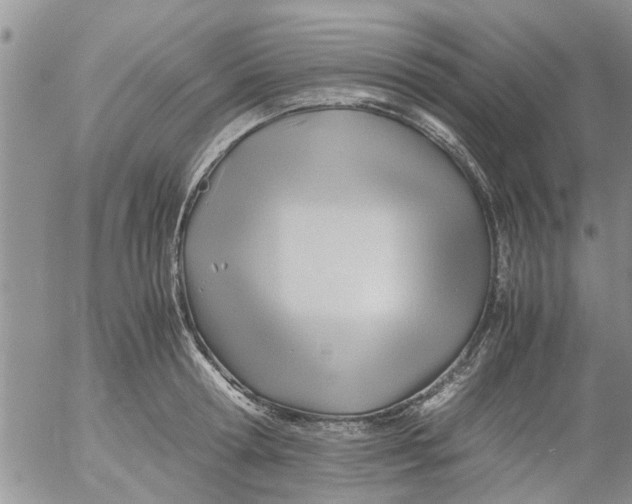 X0000053090802200508012031