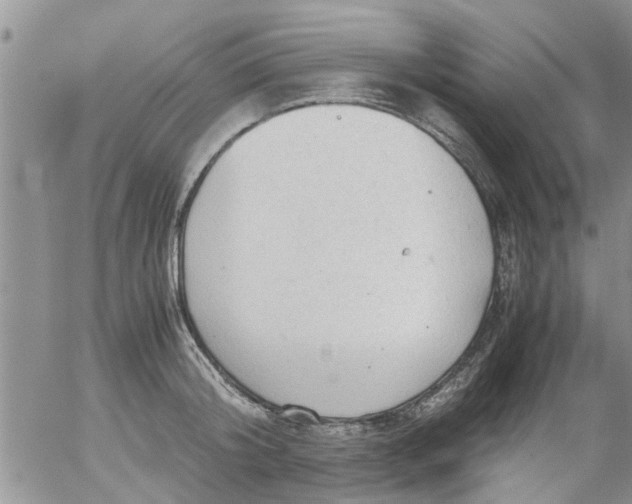 X0000053090804200508012031