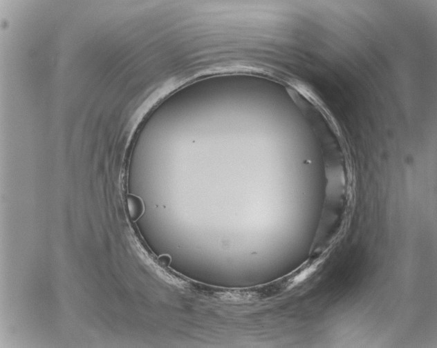 X0000053090805200508012031