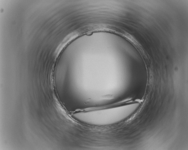 X0000053090806200508012031