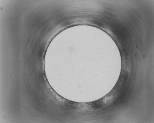 X0000053090807200508012031