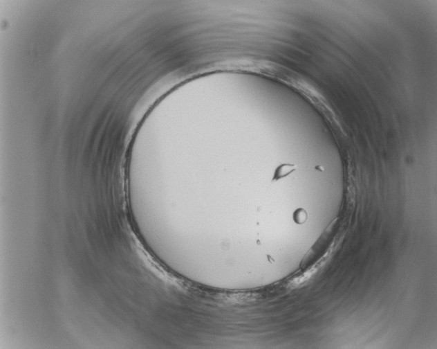 X0000053090808200508012031