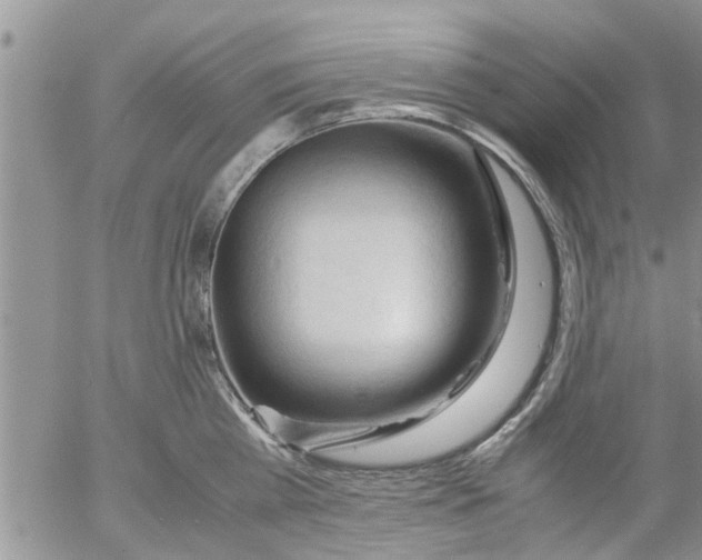 X0000053090809200508012031