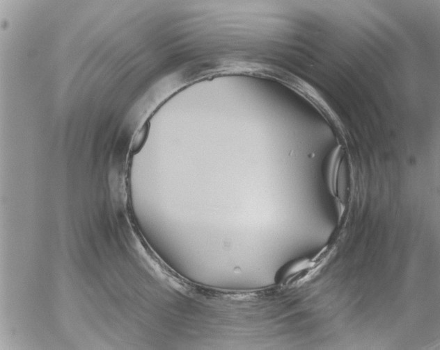 X0000053090810200508012031