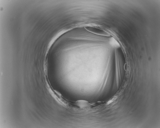 X0000053090811200508012031