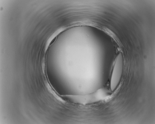 X0000053090812200508012031