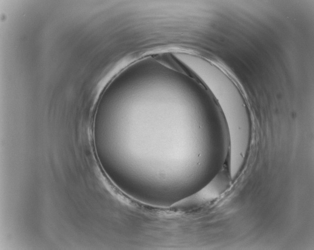 X0000053090813200508012031