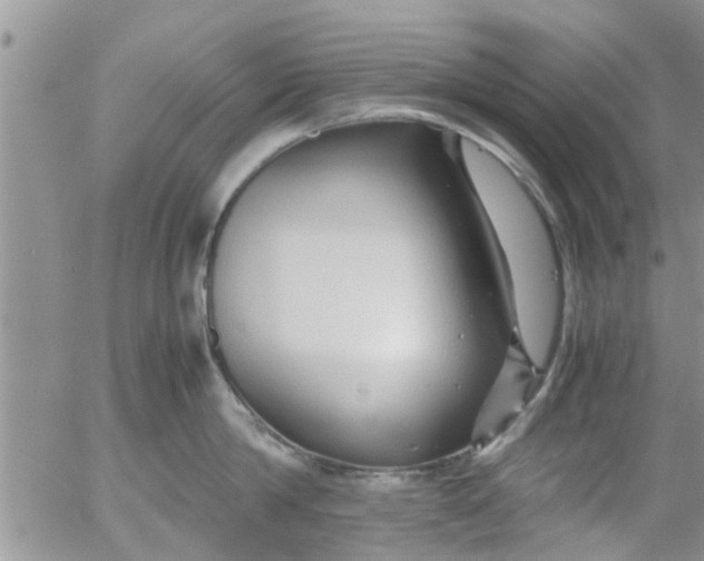 X0000053090814200508012031