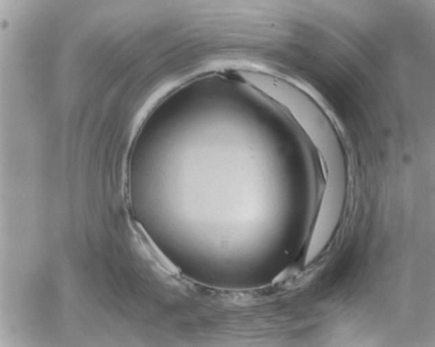 X0000053090815200508012031