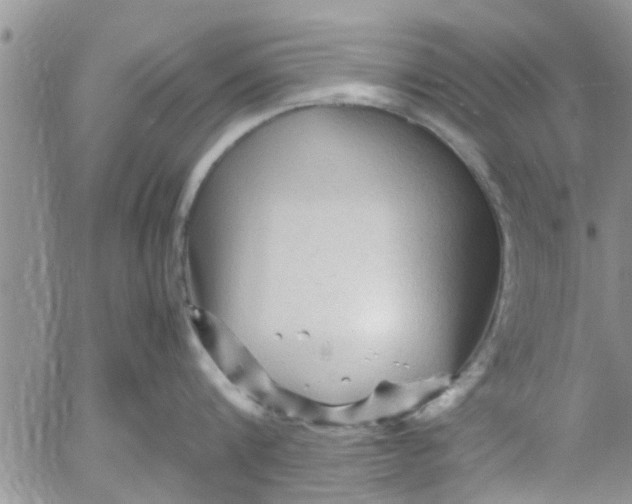 X0000053090816200508012031