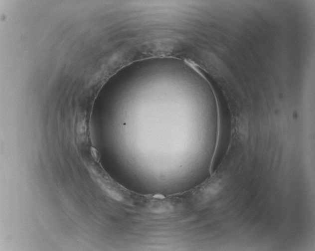 X0000053090818200508012030