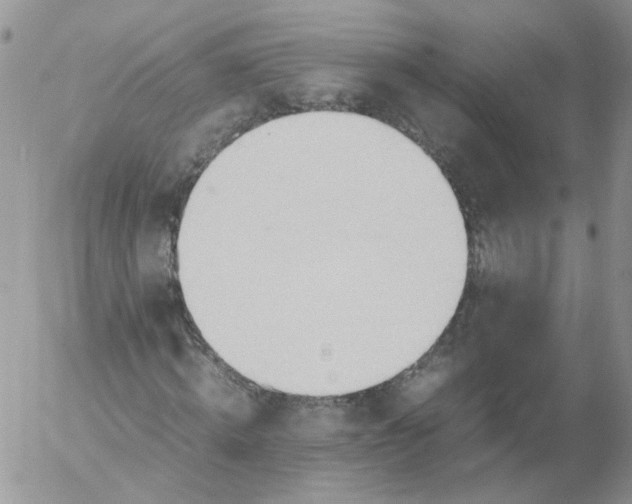 X0000053090820200508012030