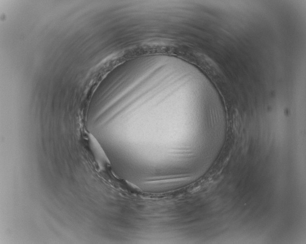 X0000053090821200508012030