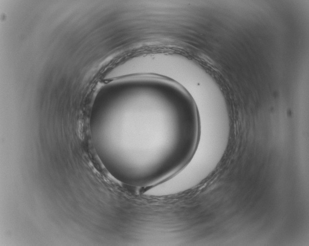 X0000053090822200508012030