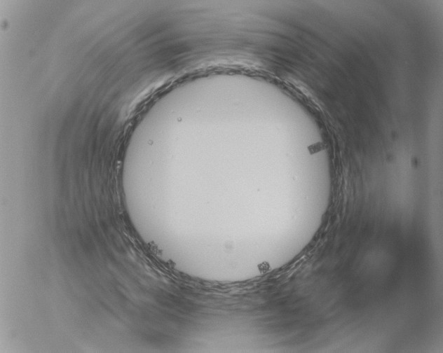 X0000053090824200508012030