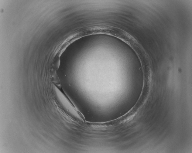 X0000053090825200508012030