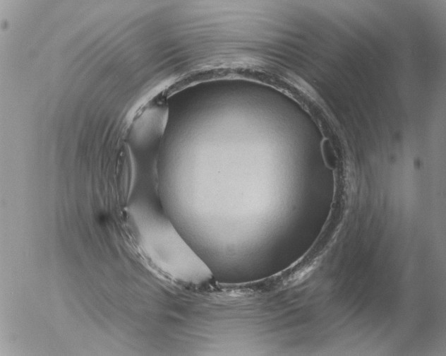 X0000053090826200508012030