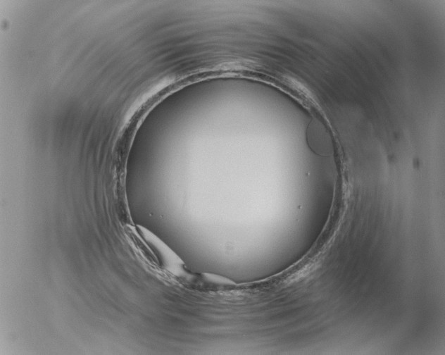 X0000053090827200508012030