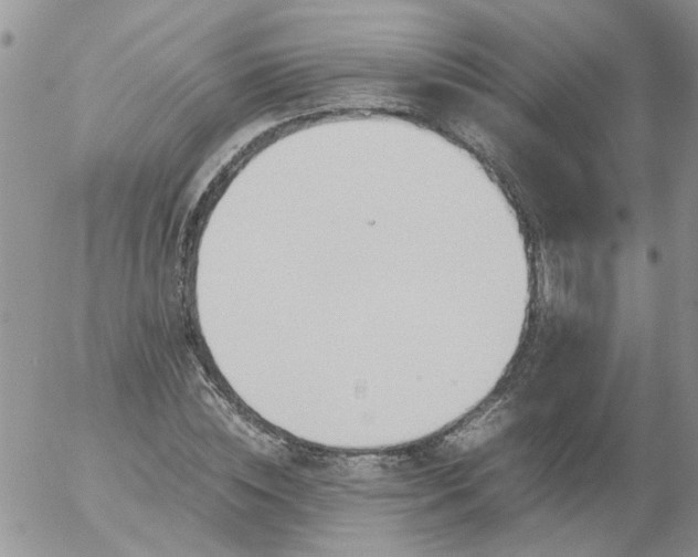 X0000053090828200508012030