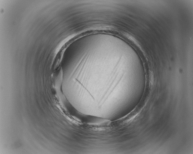 X0000053090829200508012030