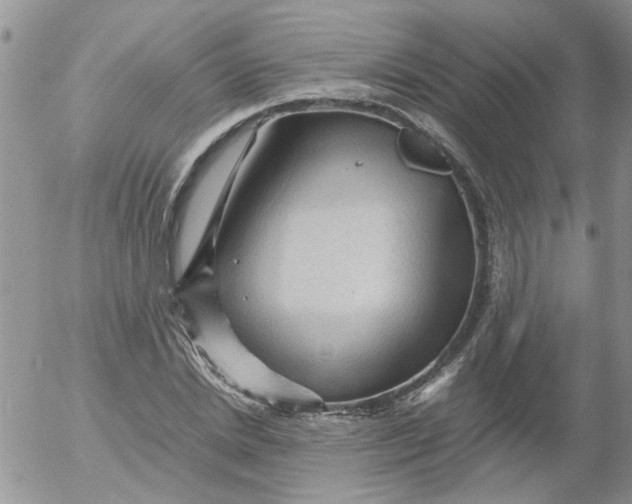 X0000053090830200508012030