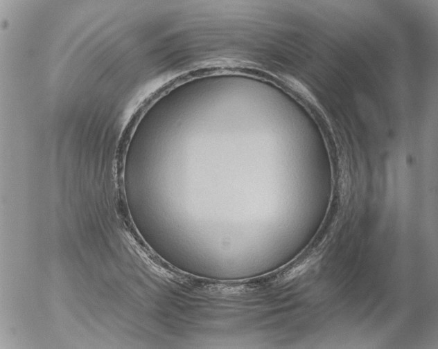 X0000053090831200508012030