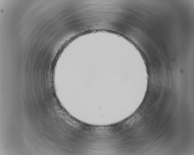 X0000053090832200508012030