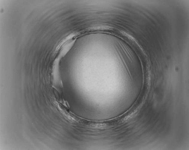 X0000053090833200508012030