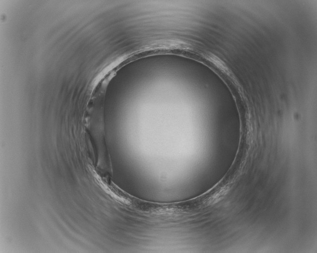 X0000053090834200508012030