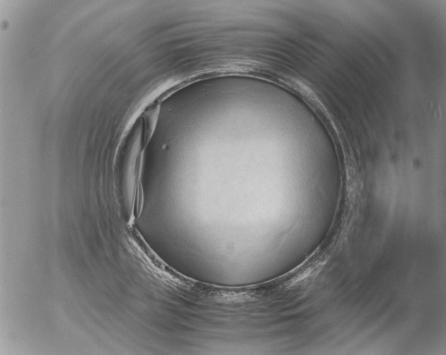 X0000053090835200508012030