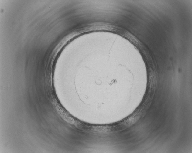 X0000053090836200508012030