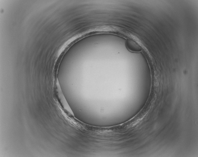 X0000053090837200508012030