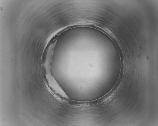 X0000053090838200508012030