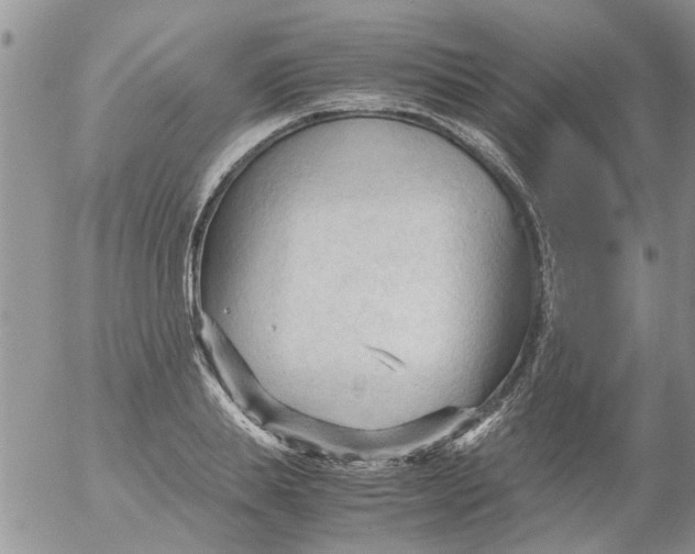 X0000053090839200508012030