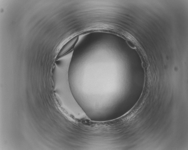 X0000053090842200508012030